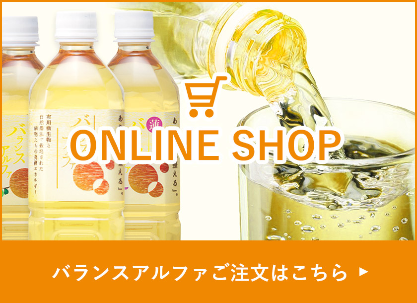 ONLINE SHOP
