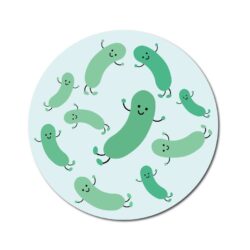 乳酸菌とはどんな生き物？